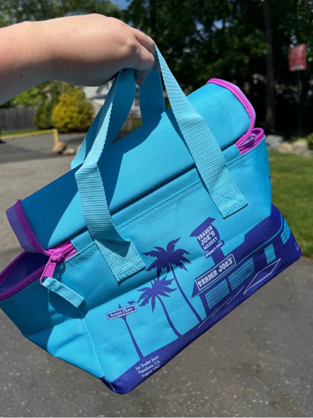 NWT! Trader Joe's Mini Insulated Bag - Teal & Purple - Picture 2 of 3